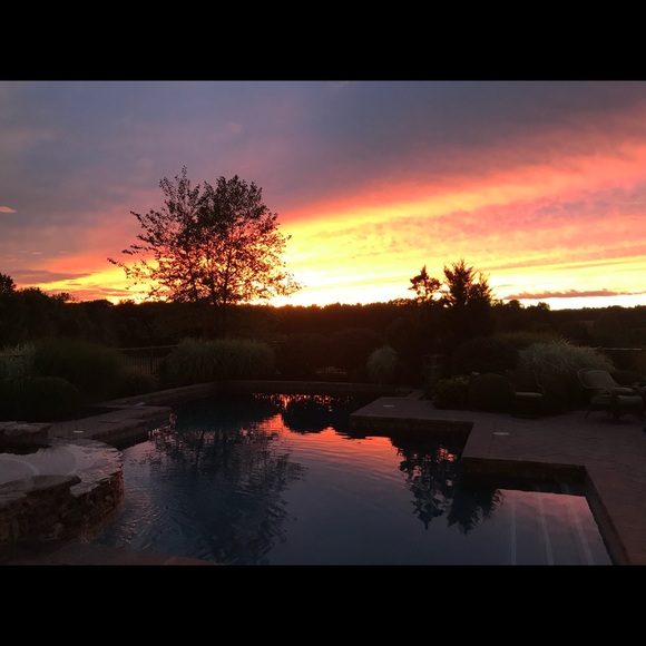 Meet your Posher, Lloretta - Picture 1 of 3